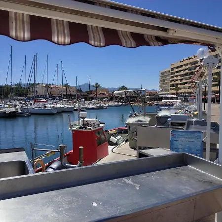 Grand Studio Cabine A 100 M Plage Et Commerces Saint-Cyprien  Exterior foto
