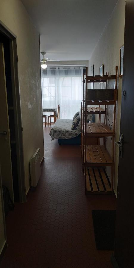 Apartment Grand A 100 M Et Commerces Saint-Cyprien (Pyrenees-Orientales)